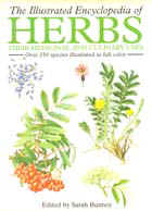 Herbs.jpg (13204 bytes)